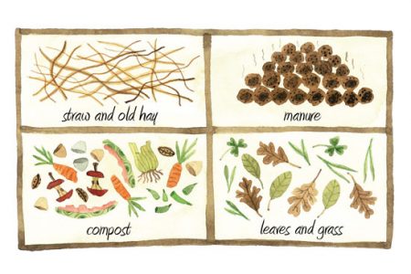 How to Build a Healthy Soil Community Image